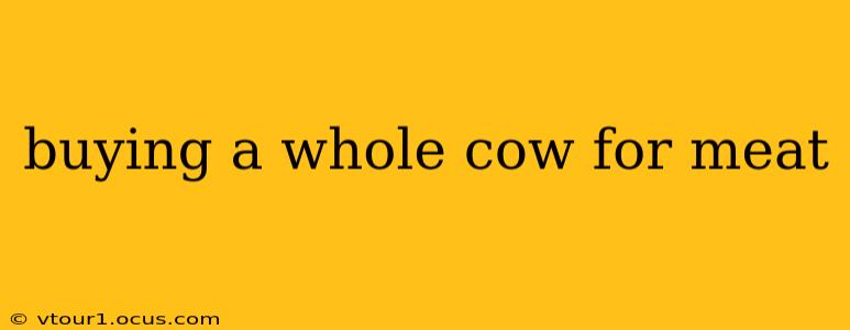 buying a whole cow for meat