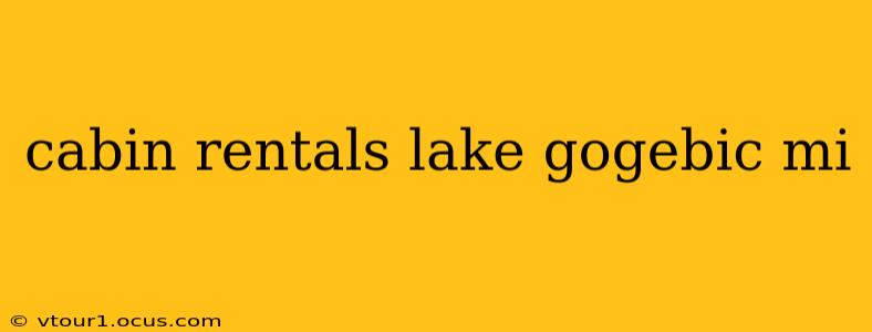 cabin rentals lake gogebic mi
