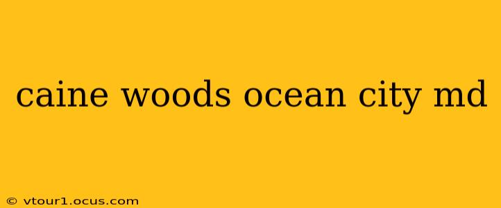 caine woods ocean city md