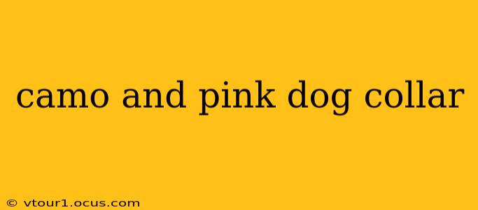 camo and pink dog collar