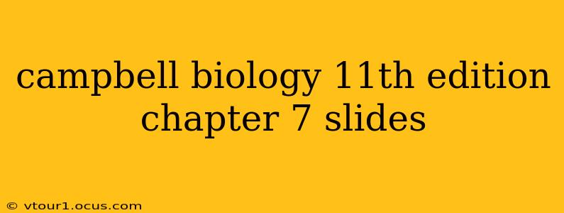 campbell biology 11th edition chapter 7 slides