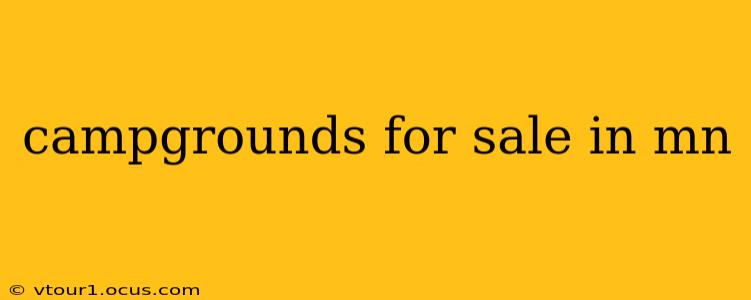 campgrounds for sale in mn