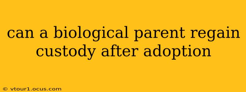 can a biological parent regain custody after adoption