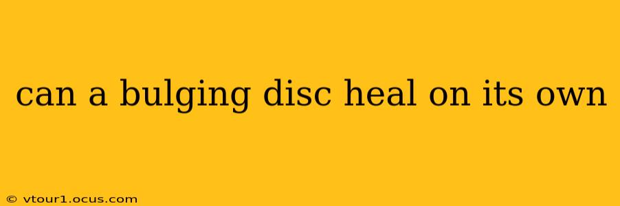 can a bulging disc heal on its own