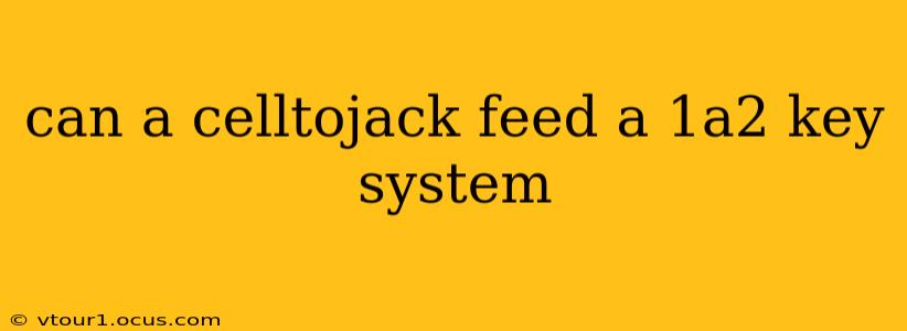 can a celltojack feed a 1a2 key system