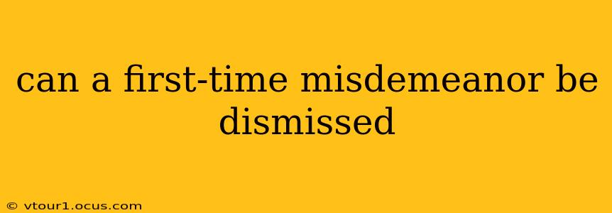 can a first-time misdemeanor be dismissed