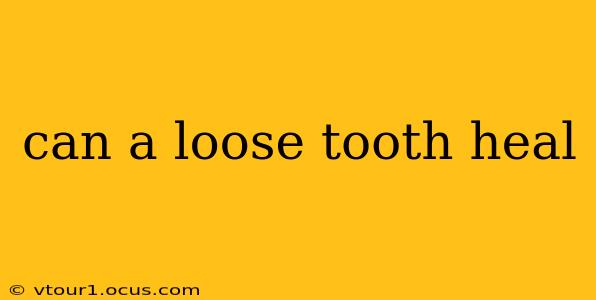 can a loose tooth heal