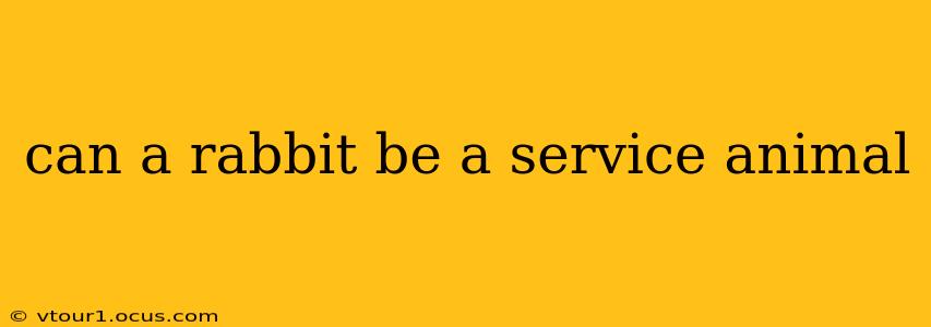 can a rabbit be a service animal