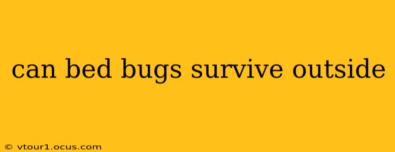 can bed bugs survive outside