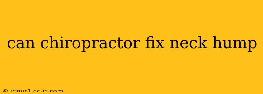 can chiropractor fix neck hump
