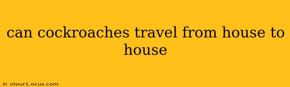 can cockroaches travel from house to house