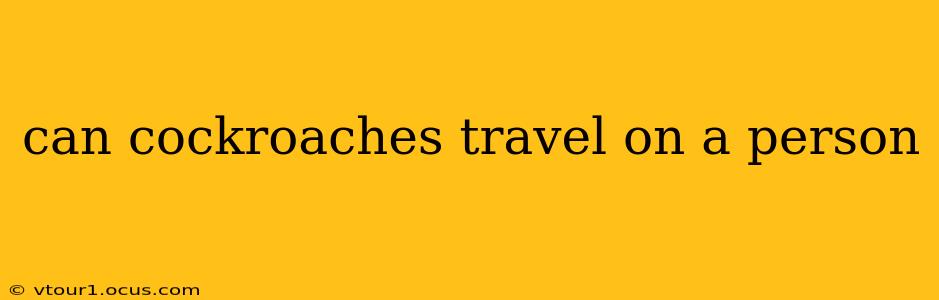 can cockroaches travel on a person