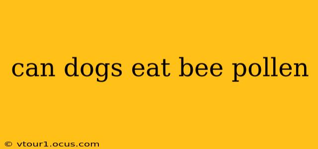 can dogs eat bee pollen