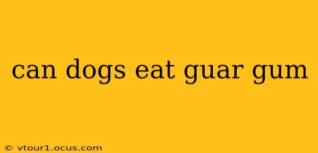 can dogs eat guar gum