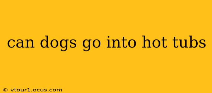 can dogs go into hot tubs