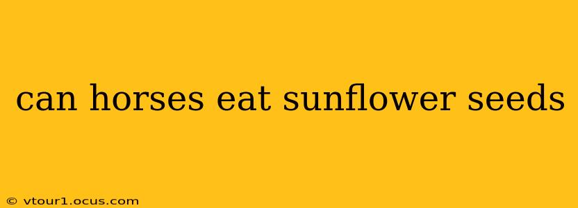 can horses eat sunflower seeds