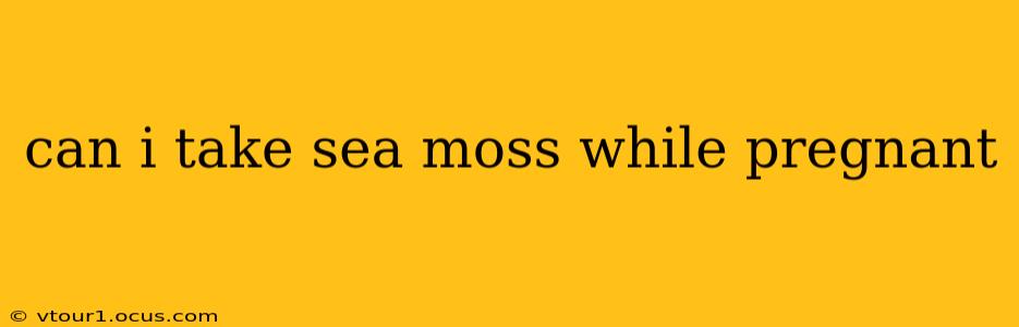 can i take sea moss while pregnant