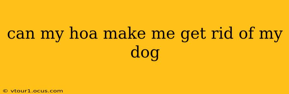 can my hoa make me get rid of my dog