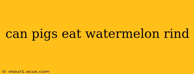 can pigs eat watermelon rind