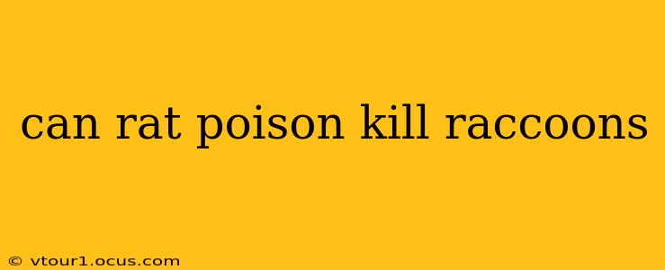 can rat poison kill raccoons