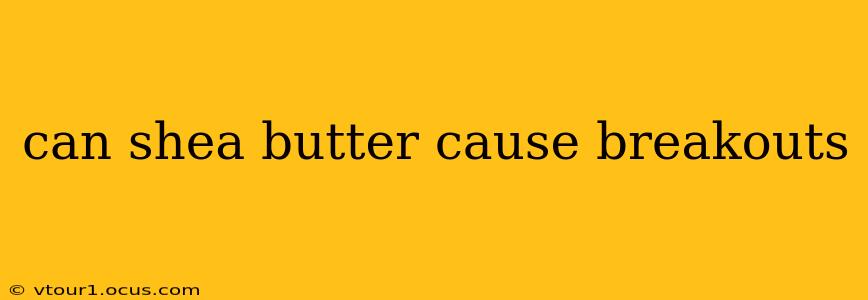can shea butter cause breakouts