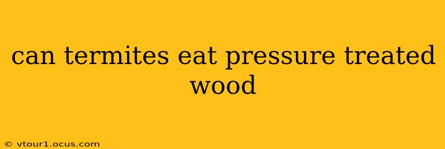 can termites eat pressure treated wood