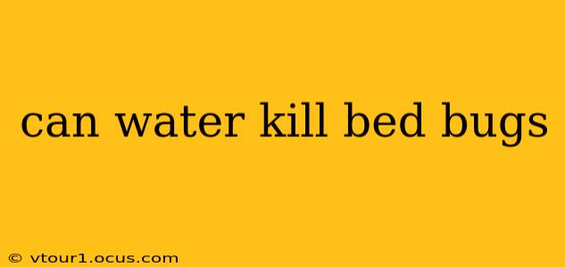 can water kill bed bugs