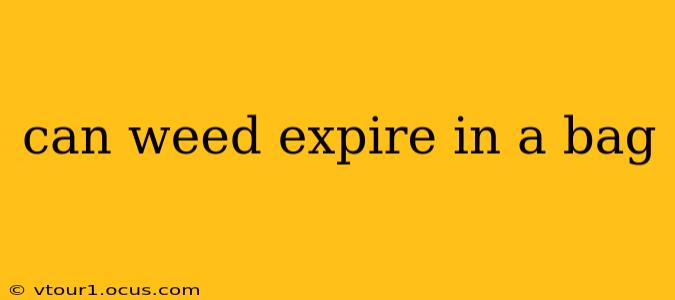 can weed expire in a bag