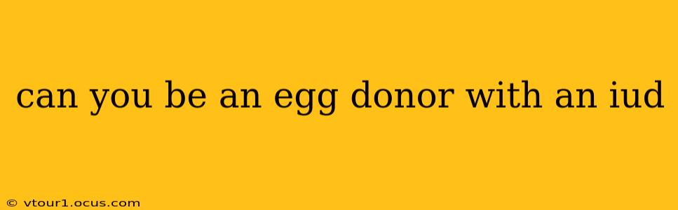 can you be an egg donor with an iud