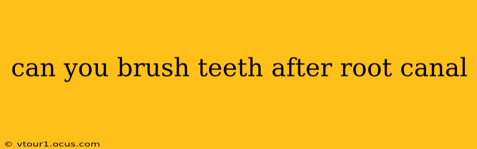 can you brush teeth after root canal