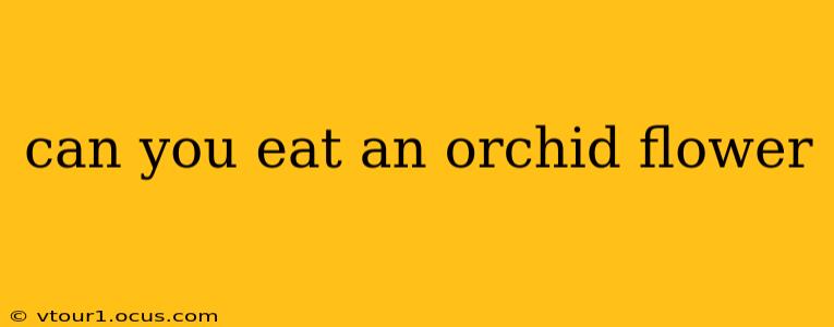 can you eat an orchid flower