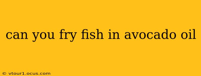 can you fry fish in avocado oil