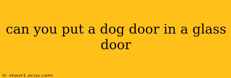 can you put a dog door in a glass door