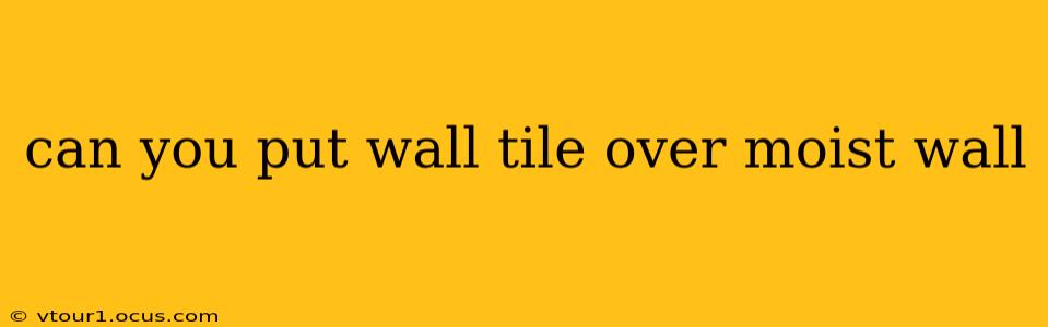 can you put wall tile over moist wall