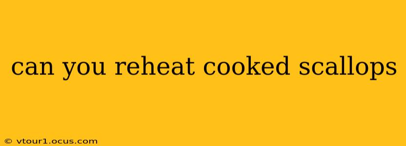 can you reheat cooked scallops
