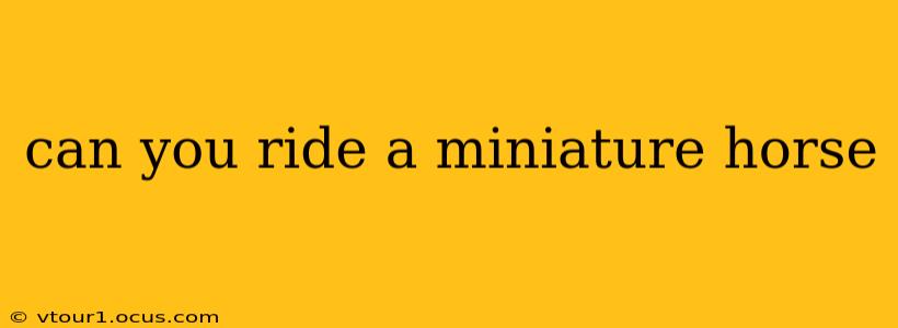 can you ride a miniature horse