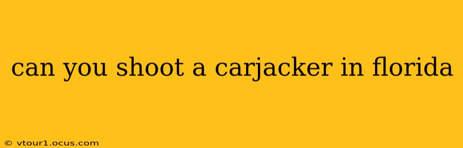 can you shoot a carjacker in florida