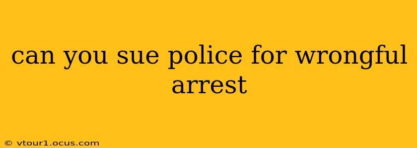 can you sue police for wrongful arrest