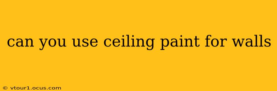 can you use ceiling paint for walls
