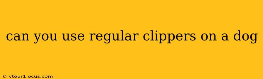 can you use regular clippers on a dog