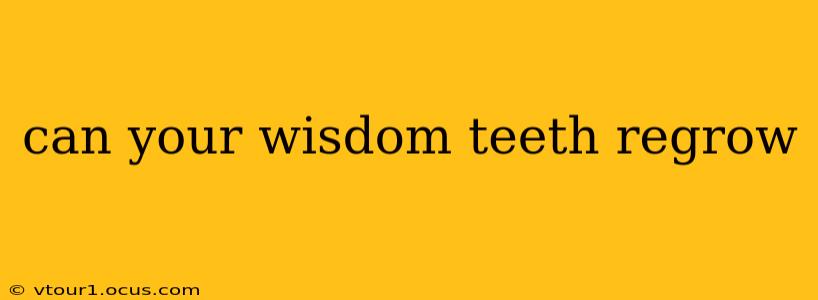 can your wisdom teeth regrow