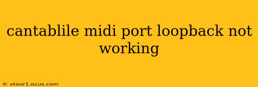cantablile midi port loopback not working