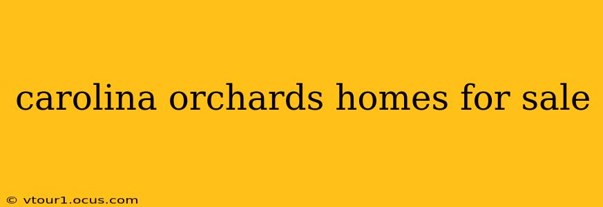 carolina orchards homes for sale