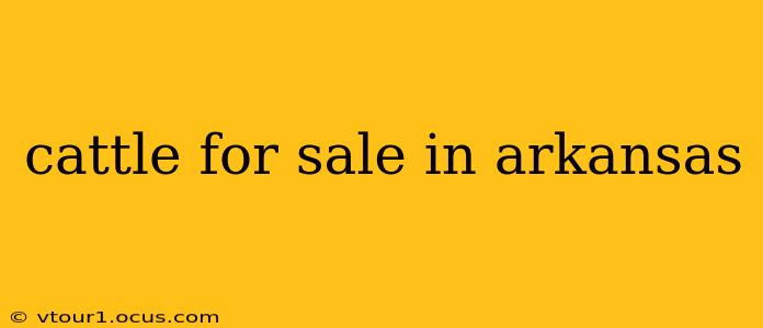 cattle for sale in arkansas
