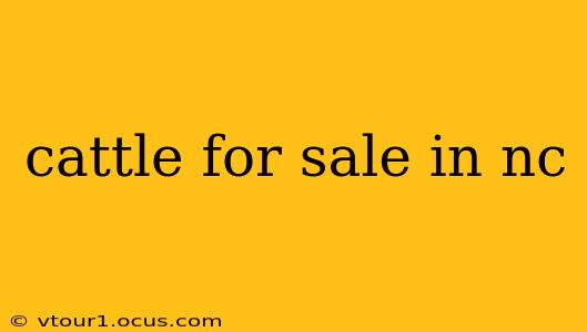 cattle for sale in nc