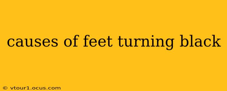 causes of feet turning black