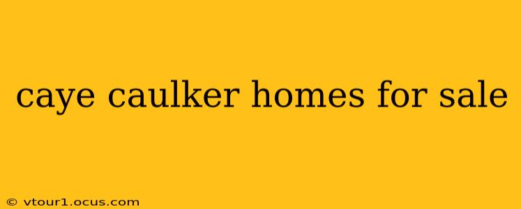 caye caulker homes for sale