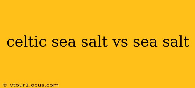 celtic sea salt vs sea salt