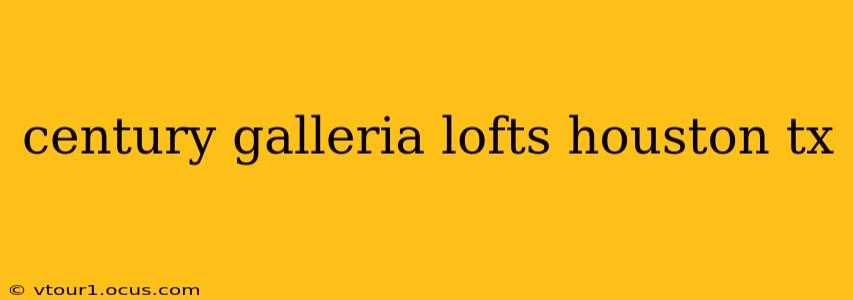 century galleria lofts houston tx