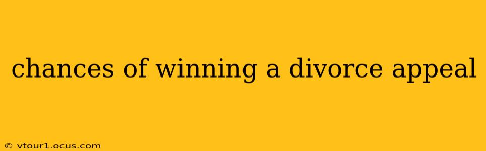 chances of winning a divorce appeal